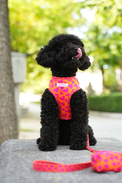 Agatha Ruiz De La Prada ARNES AJUSTABLE CORAZONES