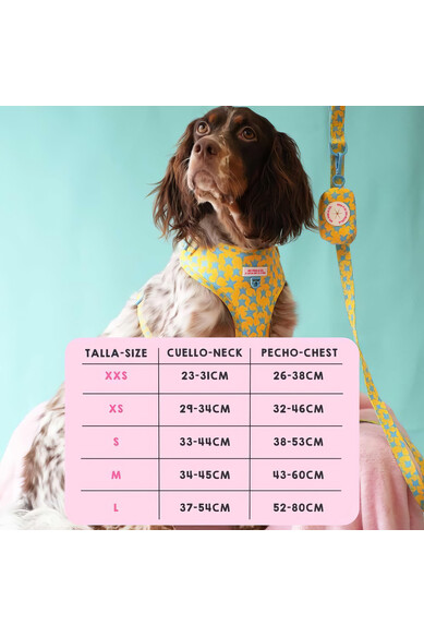 Agatha Ruiz De La Prada ARNES AJUSTABLE ESTRELLAS