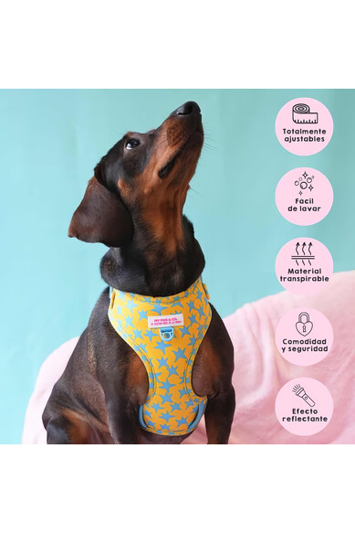 Agatha Ruiz De La Prada ARNES AJUSTABLE ESTRELLAS