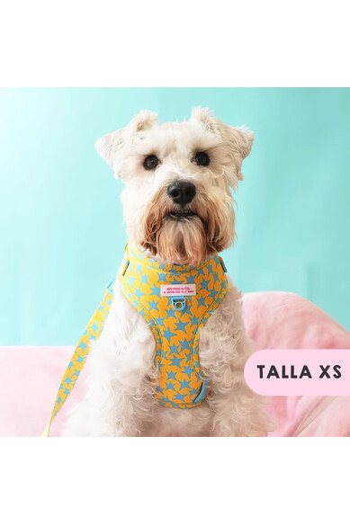 Agatha Ruiz De La Prada ARNES AJUSTABLE ESTRELLAS