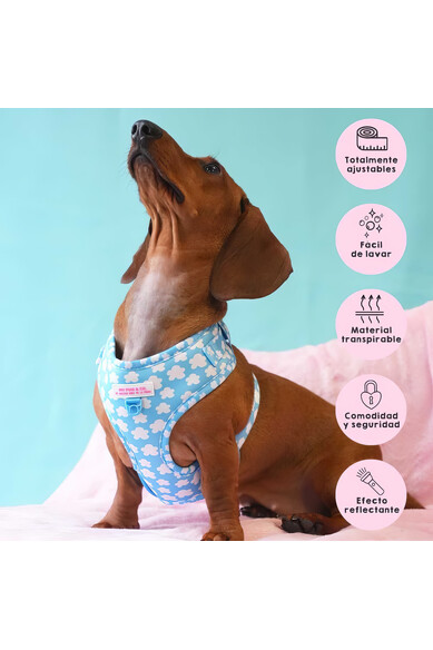 Agatha Ruiz De La Prada ARNES AJUSTABLE NUBES