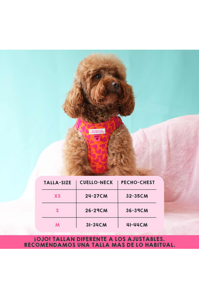 Agatha Ruiz De La Prada BODY AJUSTABLE CORAZONES