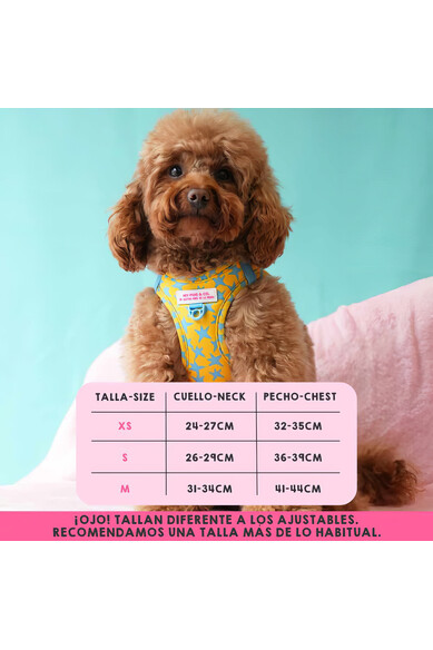 Agatha Ruiz De La Prada BODY AJUSTABLE ESTRELLAS