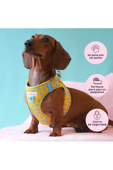 Agatha Ruiz De La Prada BODY AJUSTABLE ESTRELLAS