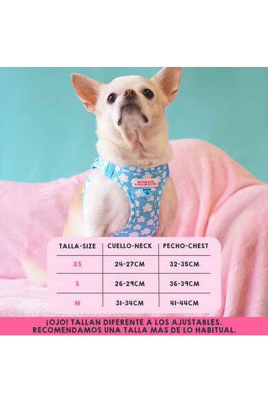 Agatha Ruiz De La Prada BODY AJUSTABLE NUBES