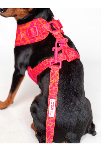 Agatha Ruiz De La Prada CORREA CORAZONES