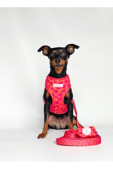 Agatha Ruiz De La Prada CORREA CORAZONES