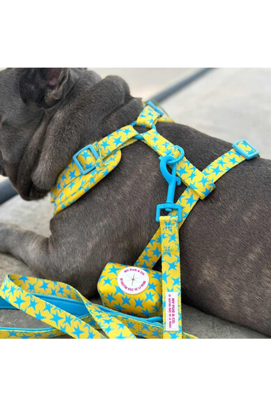 Agatha Ruiz De La Prada CORREA ESTRELLAS