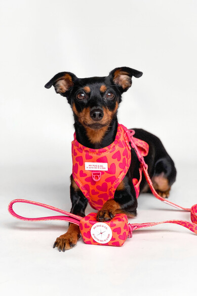 Agatha Ruiz De La Prada PORTA BOLSAS CORAZONES