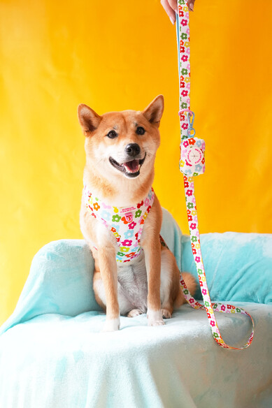 Agatha Ruiz De La Prada PORTA BOLSAS FLORES