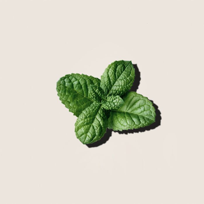 Alqvimia Aceite Esencial De Menta 10ml