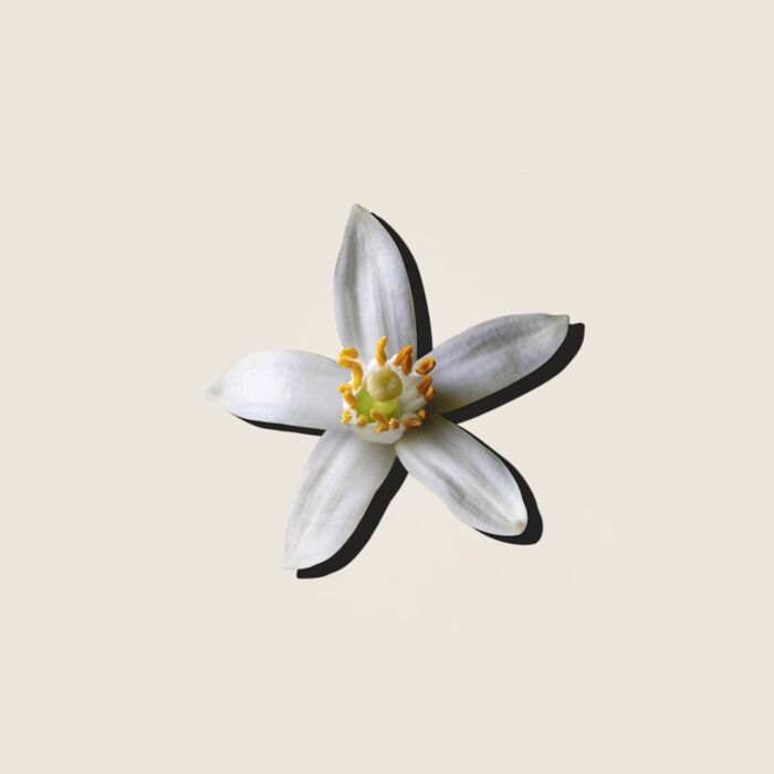 Alqvimia Aceite Esencial De Neroli 5ml