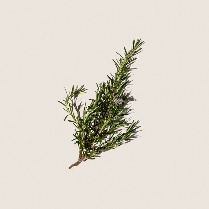 Alqvimia Aceite Esencial De Romero 10ml