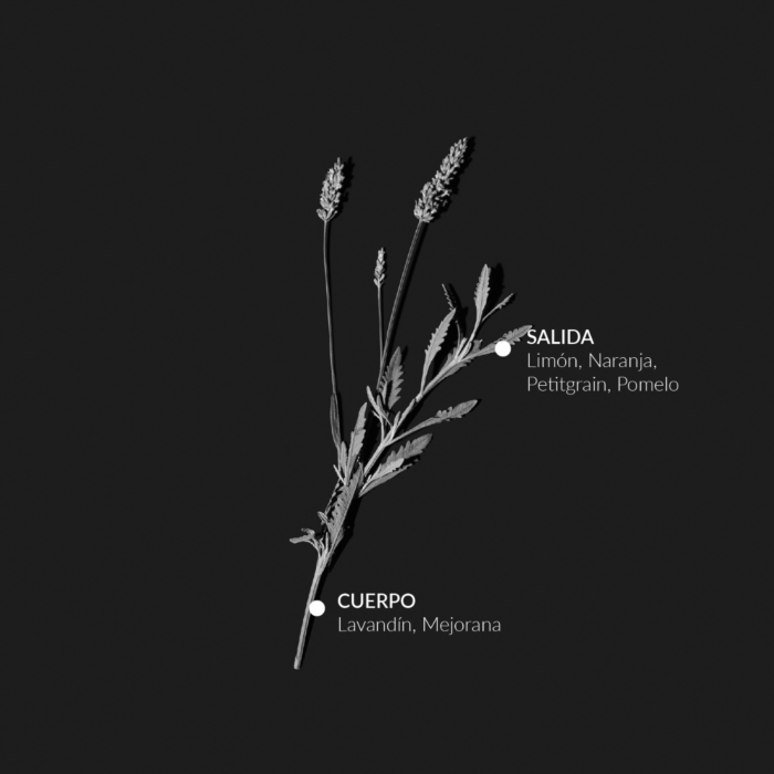 Alqvimia Agua De Colonia Anti-Stress 100ml