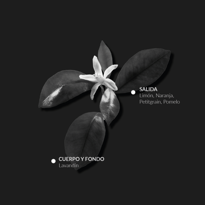 Alqvimia Agua De Colonia Para Niños Y Bebés 100ml