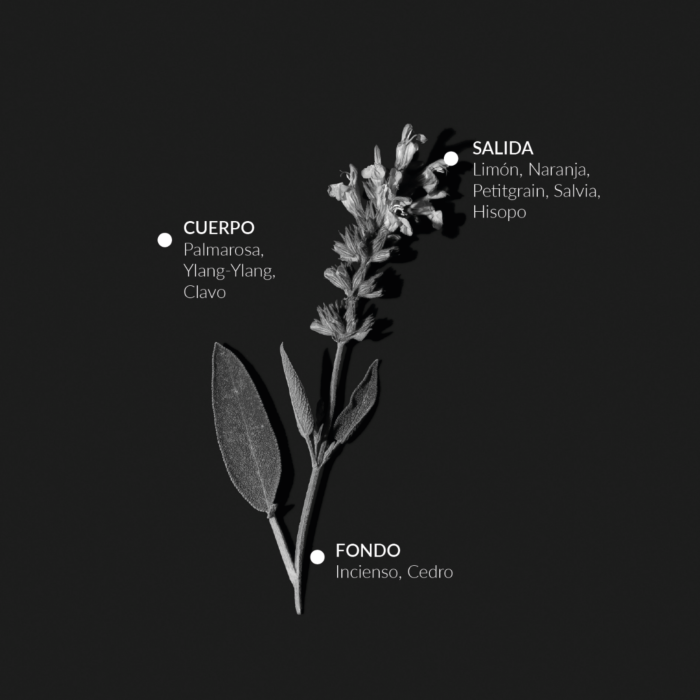 Alqvimia Agua Depurativa De Salvia 100 Ml