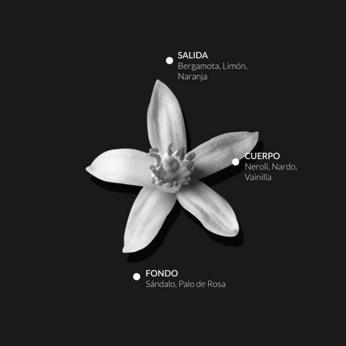 Alqvimia Esprit De Parfum Hecate 10ml