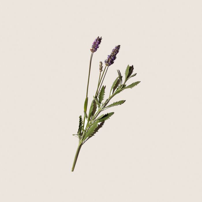 Alqvimia Pack Aromaterapia Relajante