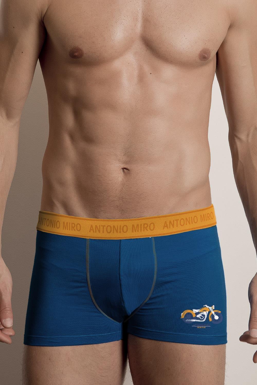 Antonio miro Bóxer Dreamteam