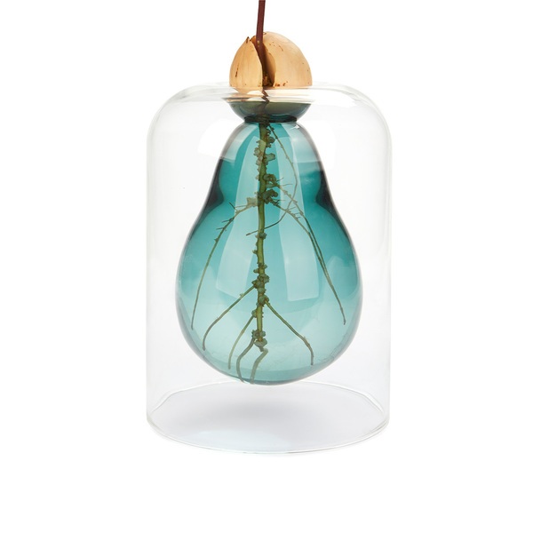 Balvi Cultivador aguacate Avocado Vase verde-27927