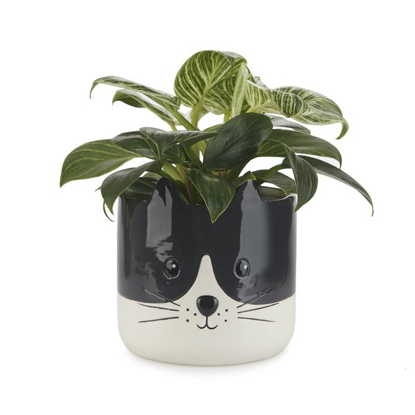 Balvi Maceta Kitty negro/blanco-27681