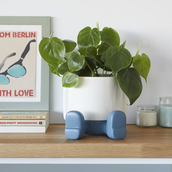 Balvi Maceta Mr.Sitty Azul-27526