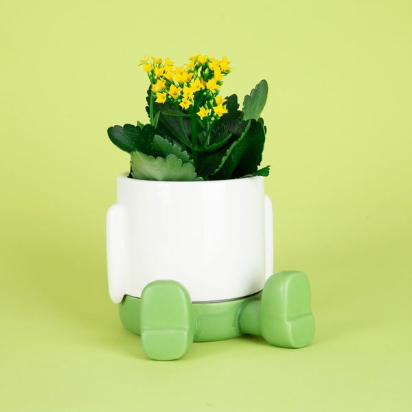 Balvi Maceta Mr.Sitty Verde-27527