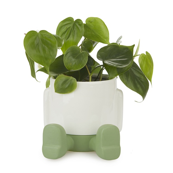 Balvi Maceta Mr.Sitty verde-27527