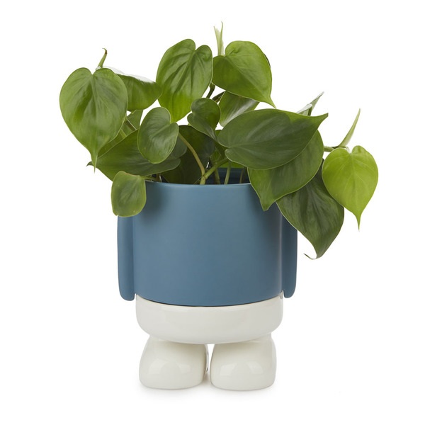 Balvi Maceta Mr.Standy azul-27523