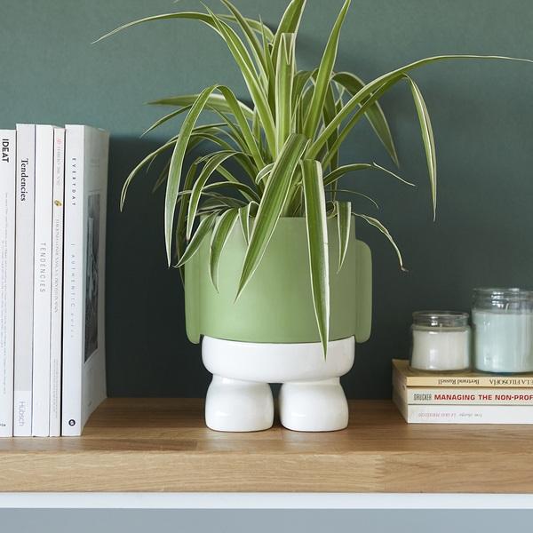 Balvi Maceta Mr.Standy Verde-27524