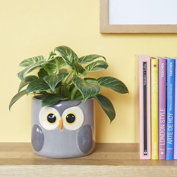 Balvi Maceta Owl Gris-27678