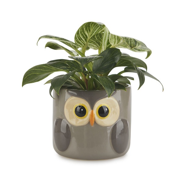Balvi Maceta Owl gris-27678