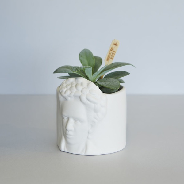 Balvi Mini Maceta Frida Blanco-27505
