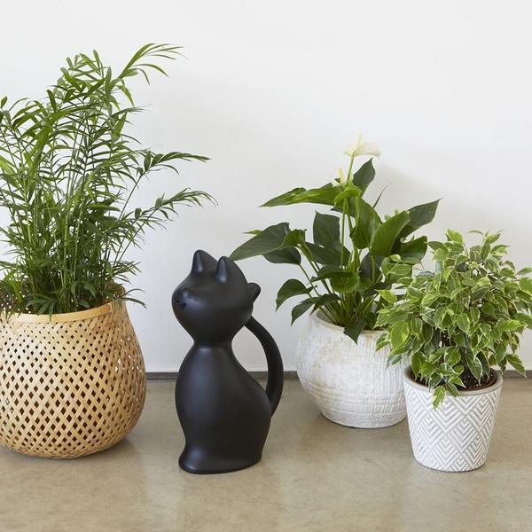 Balvi Regadera Meow Negro-27453