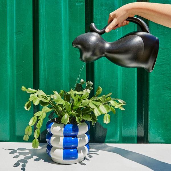 Balvi Regadera Meow Negro-27453