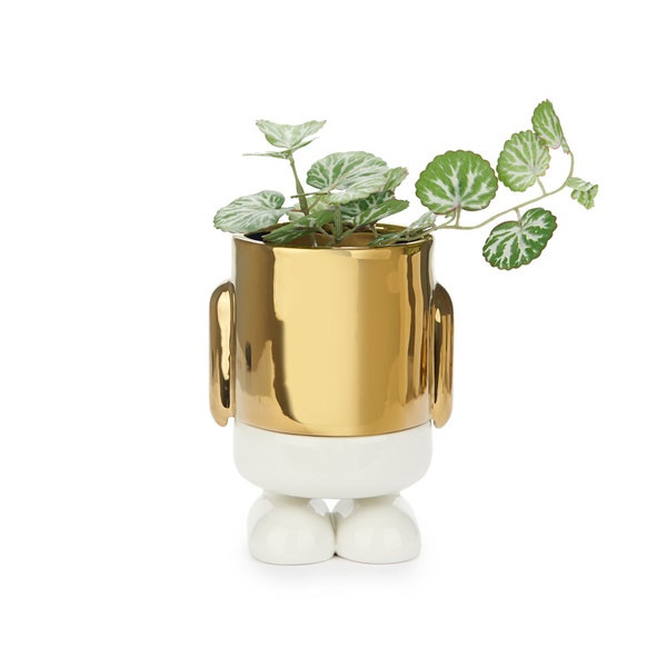 Balvi Mini maceta Mr.Standy Gold Edition cerámica-27936