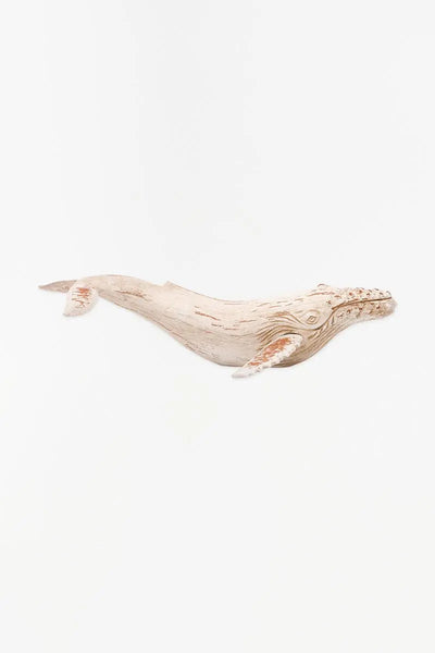 Batela Ballena - D1941 - Batela