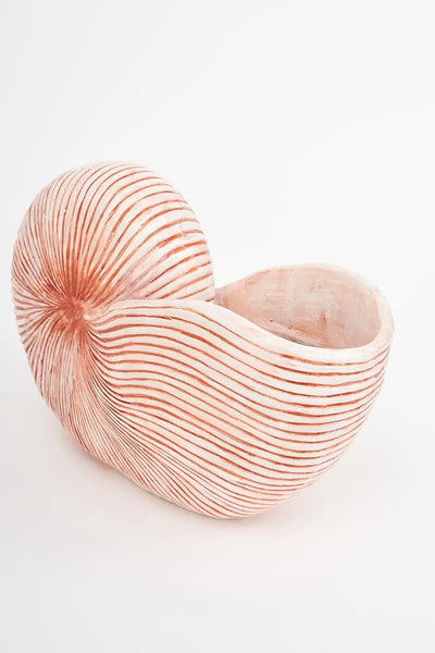 Batela Caracola de resina grande - Batela