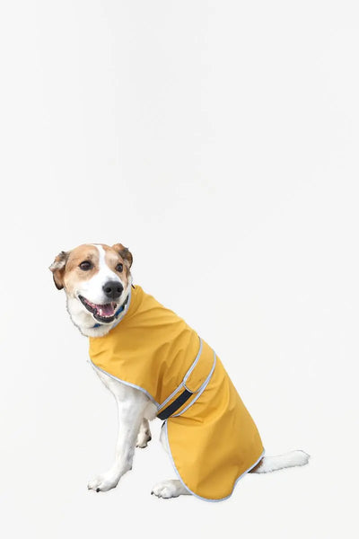 Batela Capa impermeable para mascota amarilla - D8001 - Batela