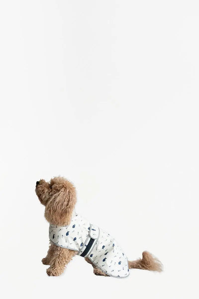 Batela Capa impermeable para mascota "peces" - D8000 - Batela