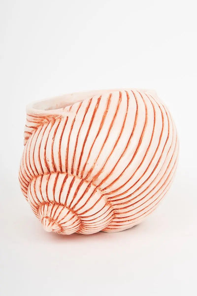 Batela Caracola de resina para utilizar como recipiente o maceta