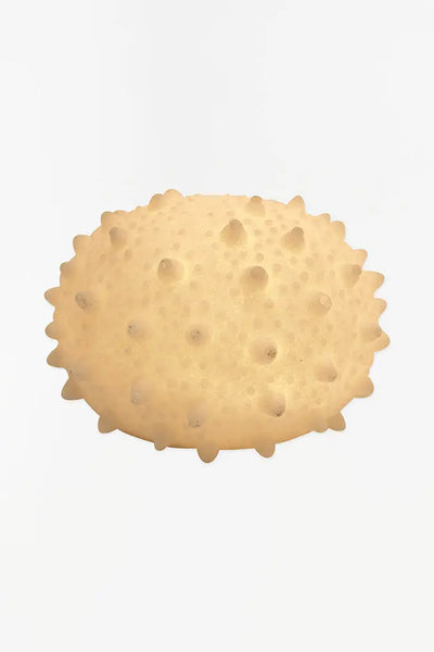Batela Lámpara con forma de erizo de mar - D1261 - Batela