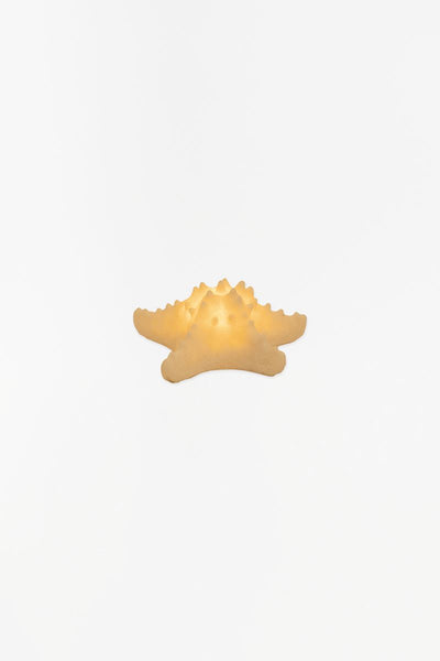 Batela Lámpara con forma de estrella de mar - D1290 - Batela