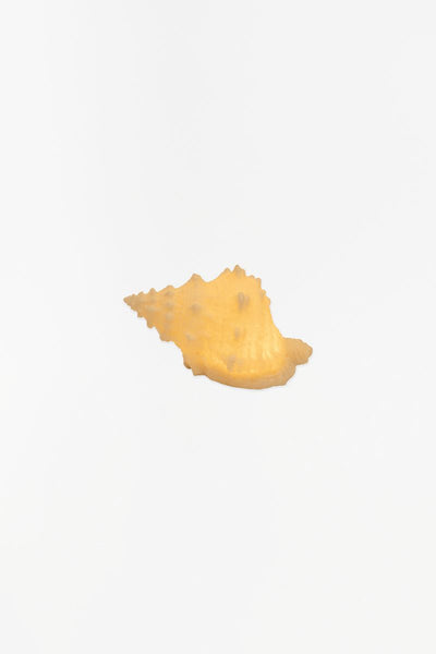 Batela Lámpara forma de caracola de mar - D1291 - Batela