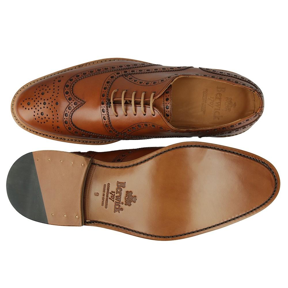 Berwick 1707 2817-K1 ANICALF 586