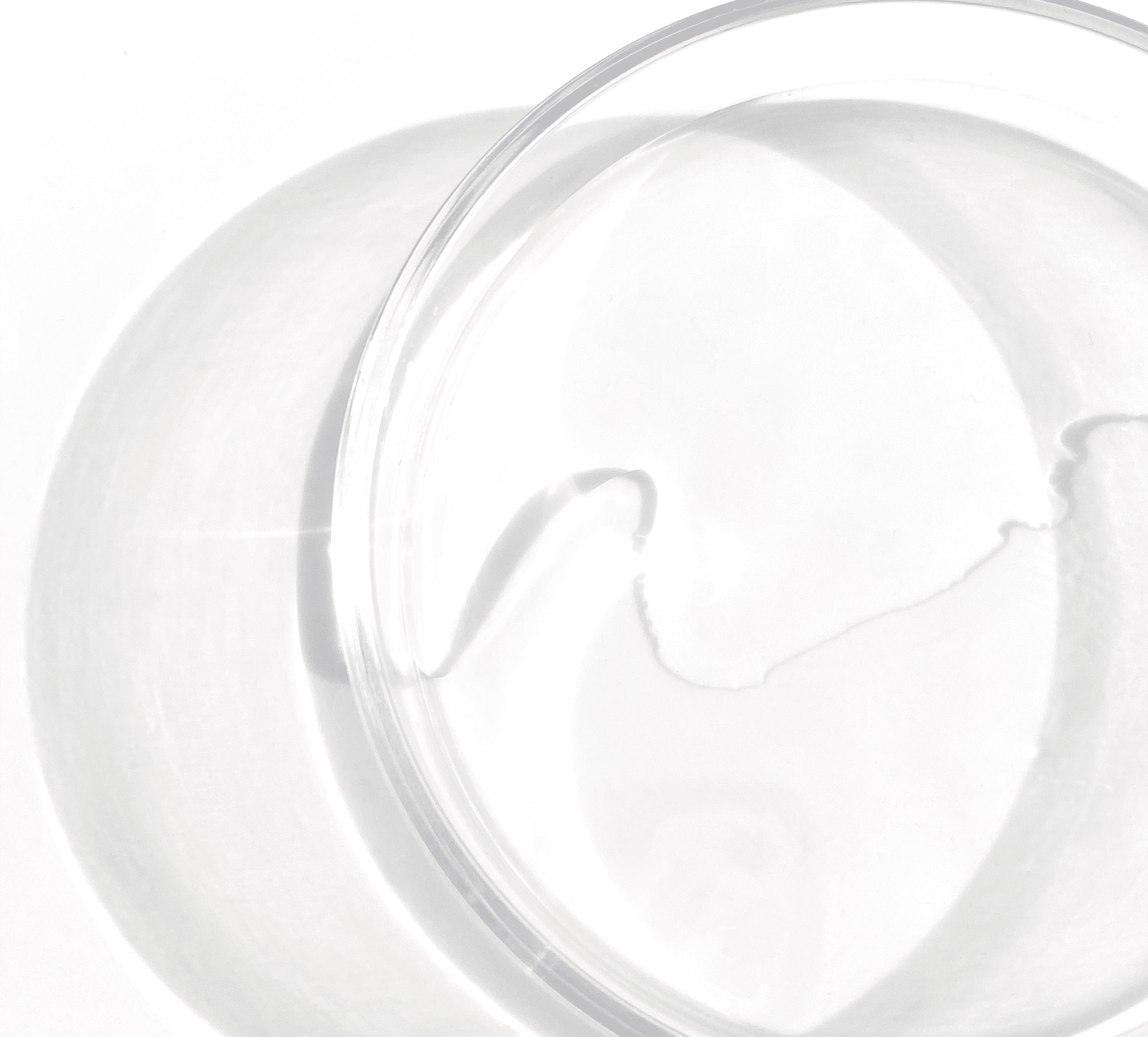 Byphasse GENTLE TONING LOTION ALL SKIN TYPES 500ML