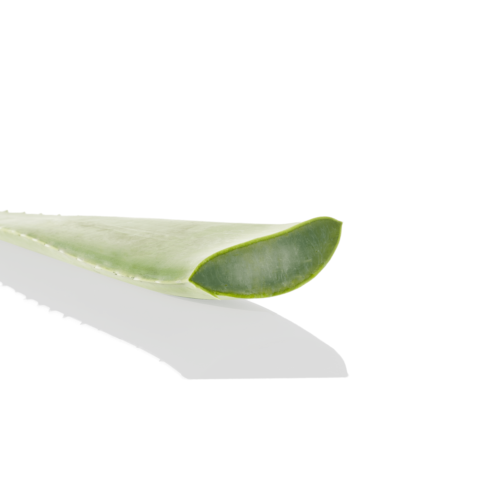 Byphasse MAKE UP REMOVER WIPES 40U