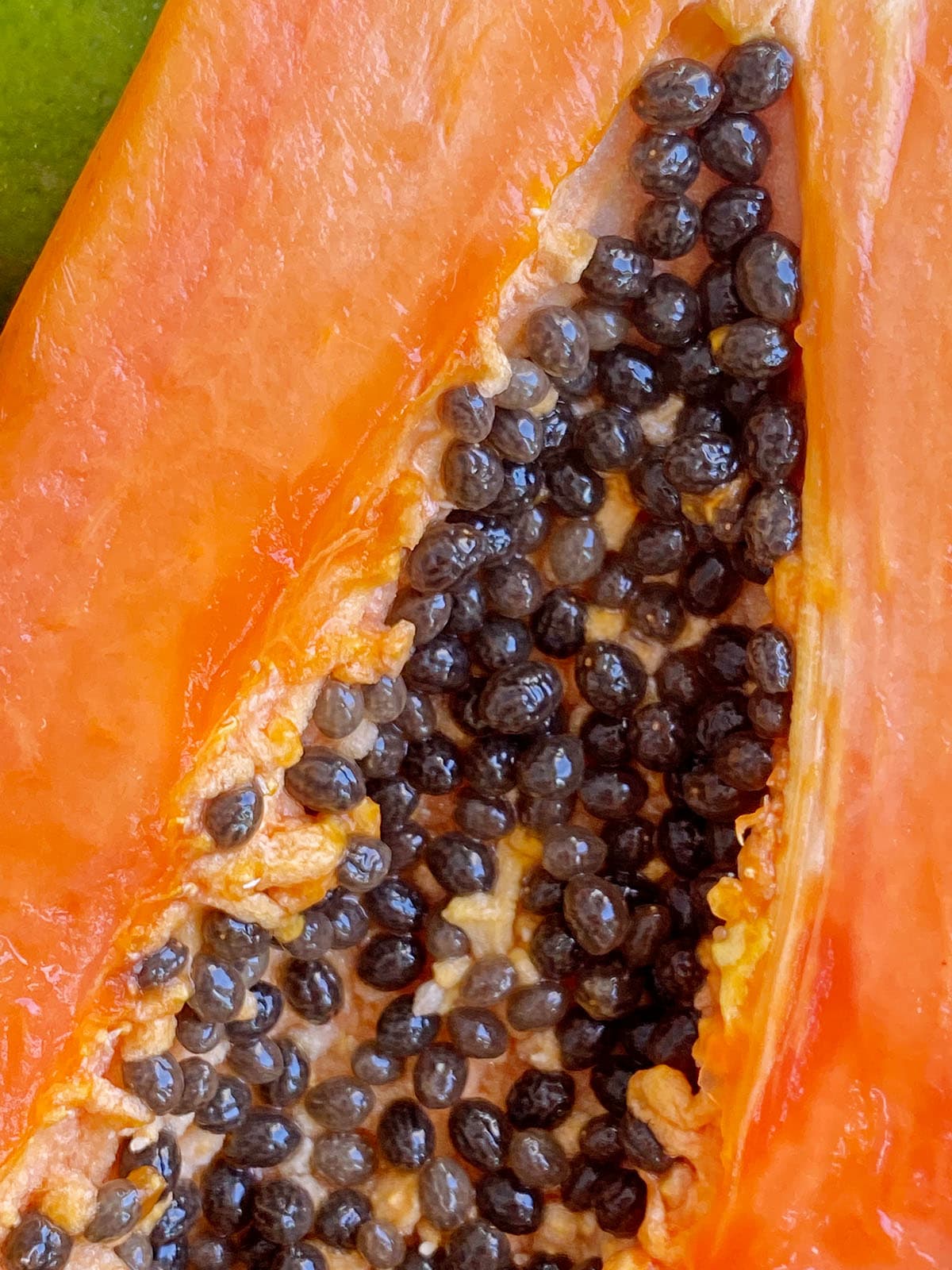 Byphasse FAMILY FRESH DELICE SHAMPOO ALL HAIR TYPES 750ML + 100 ML