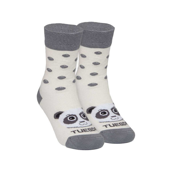 Callaghan 12 | Tuesday Panda Beig