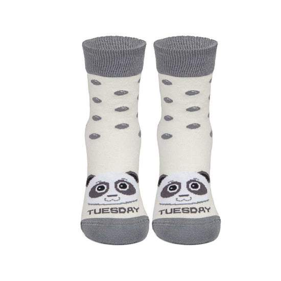 Callaghan 12 | Tuesday Panda Beig